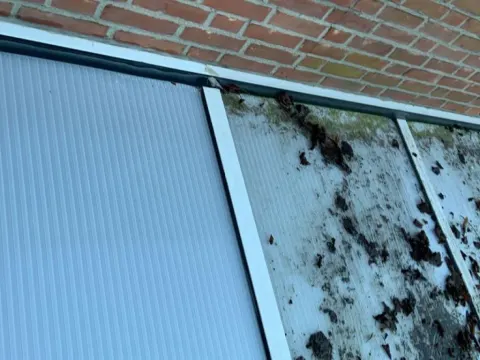 GEVEL REINIGEN